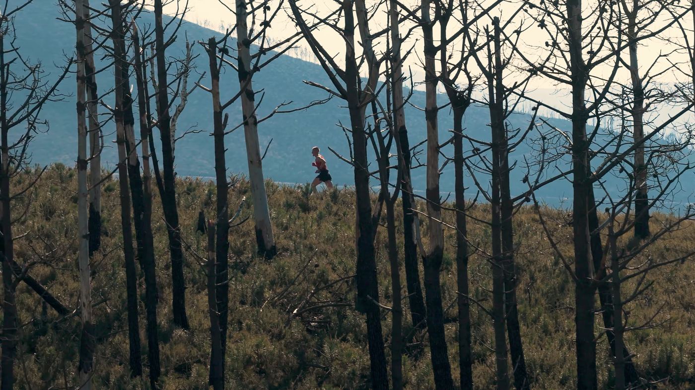 Corredor atravesando un bosque quemado