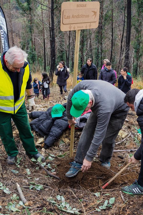 Cartel del bosque Las Andolinas, una de las zonas reforestadas tras el incendio